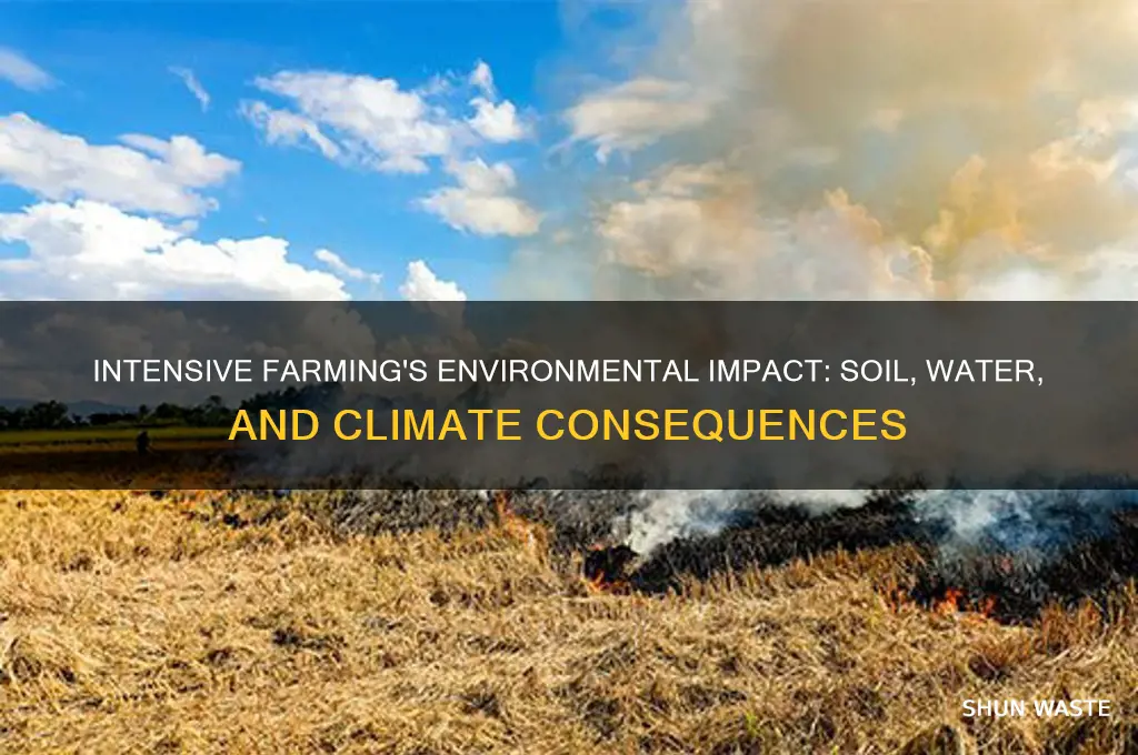 how is intensive farming bad for the environment