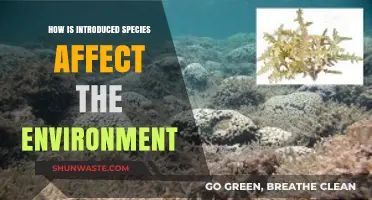 Invasive Species: Environmental Impacts and Ecosystem Disruption Explained