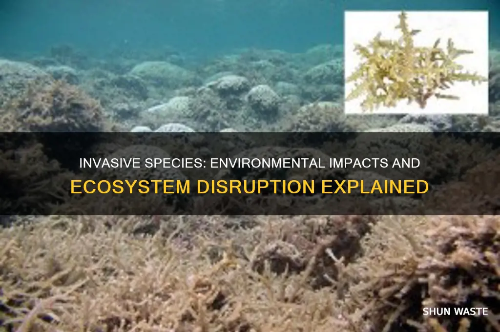 how is introduced species affect the environment