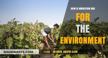 Irrigation's Hidden Costs: Environmental Impacts and Sustainable Alternatives