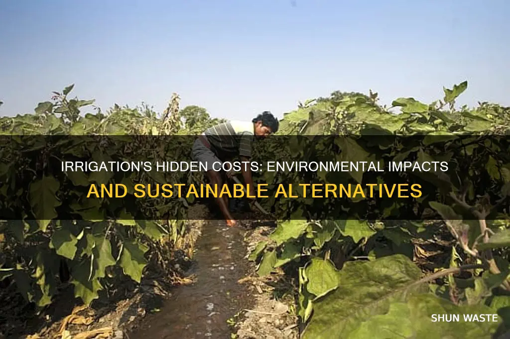 how is irrigation bad for the environment