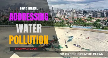 Istanbul's Water Crisis: Solutions for a Sustainable Future