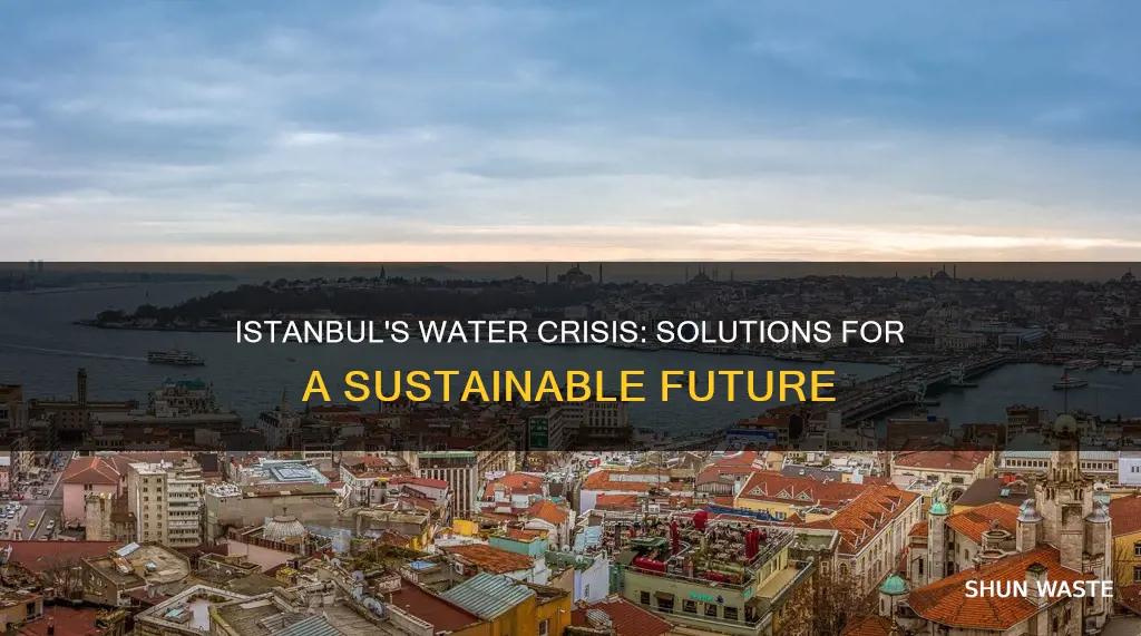 how is istanbul addressing water pollution