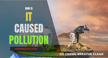 Unveiling the Sources: Understanding the Causes of Pollution