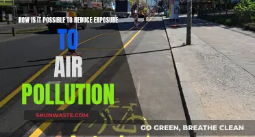 Breathe Easy: Reduce Exposure to Air Pollution