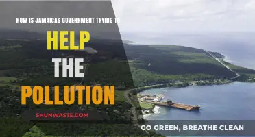 Jamaica's Governmental Efforts to Combat Pollution