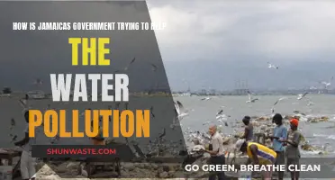 Jamaica's Water Warriors: Government's Initiatives to Combat Pollution