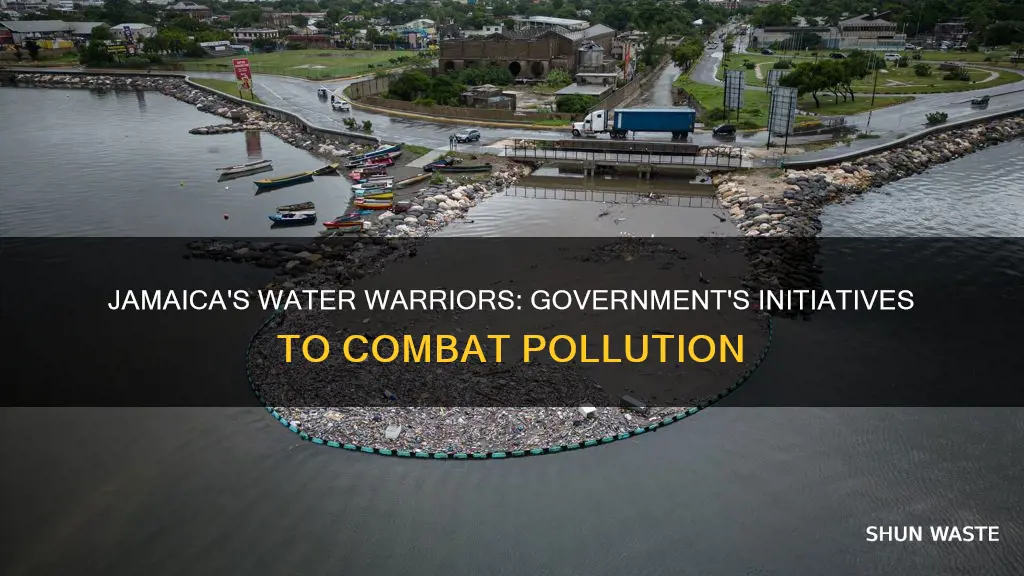 how is jamaicas government trying to help the water pollution