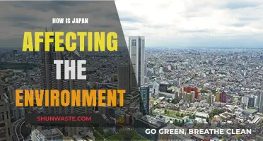 Japan's Environmental Impact: Innovations, Challenges, and Global Implications
