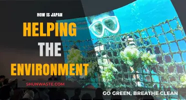 Japan's Green Innovations: Leading Environmental Sustainability and Conservation Efforts