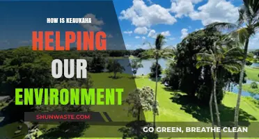 Keaukaha's Eco-Initiatives: Transforming Communities for a Greener Future