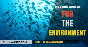 Killing Animals Harms Ecosystems: Environmental Impacts of Wildlife Destruction