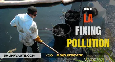 LA's Pollution Solutions: Strategies and Innovations