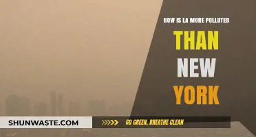 LA vs. NYC: Who's the Pollution King?
