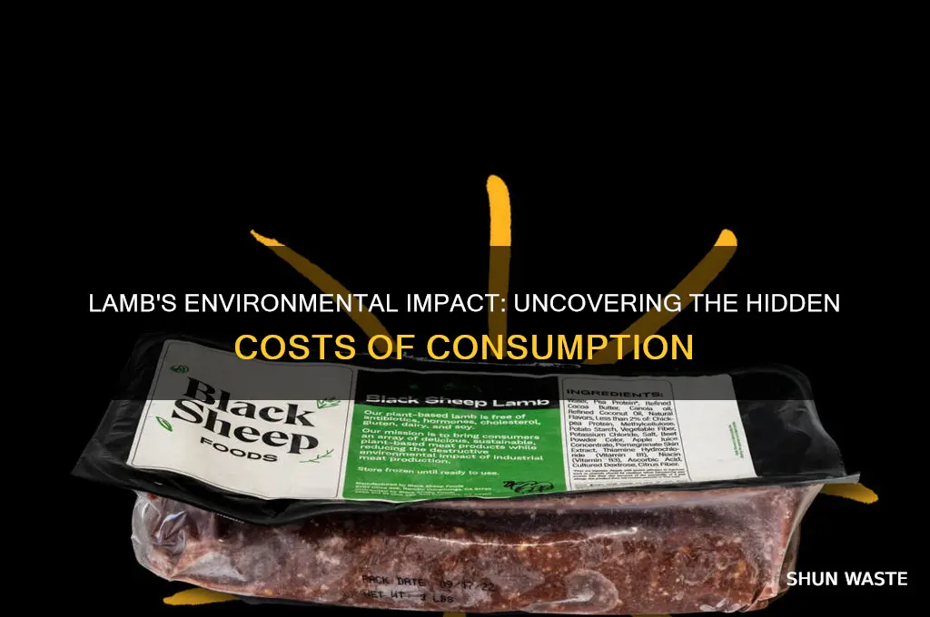 how is lamb so bad for the environment