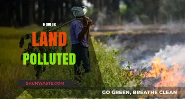 Land Pollution: Causes and Impacts