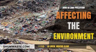 Land Pollution's Devastating Impact on Ecosystems and Human Health