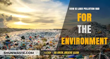 Land Pollution: Harming Nature's Balance