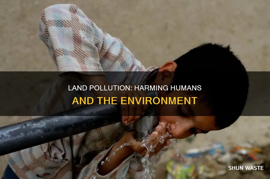 how is land pollution harmful to humans
