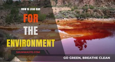 Lead Pollution: Devastating Environmental Impacts and Long-Term Consequences