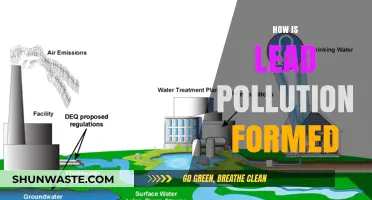 Sources of Lead Pollution and Their Impact