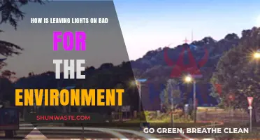 Leaving Lights On: Environmental Impact and Energy Conservation Tips