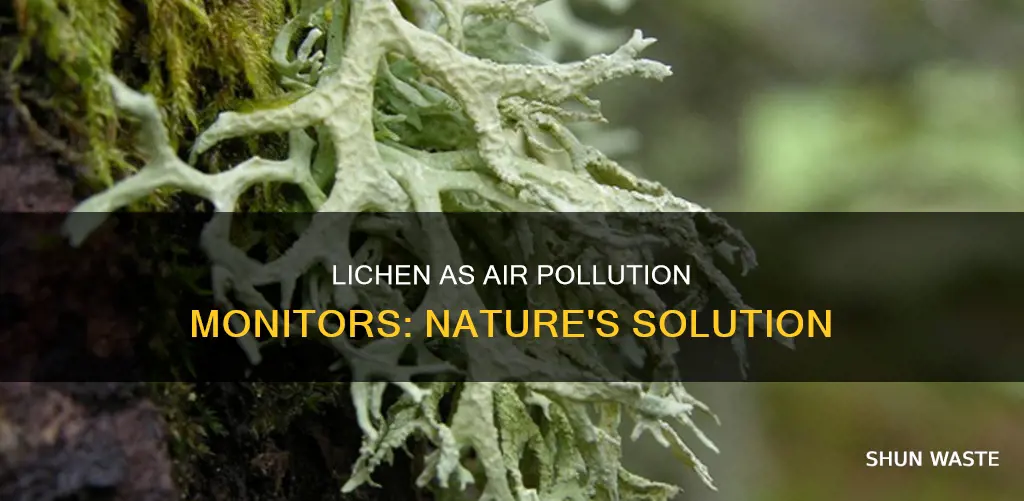 how is lichen used to monitor air pollution