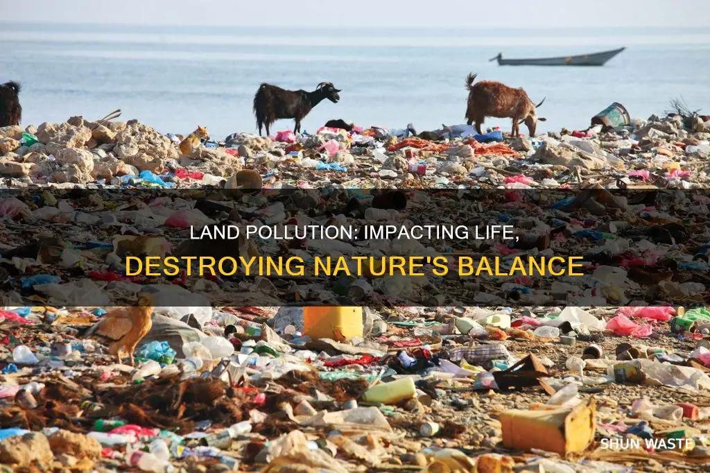 how is life on land affected by pollution