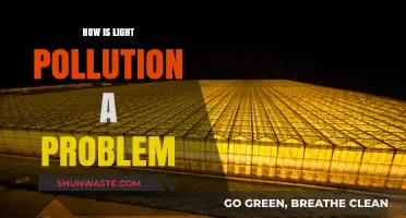 Light Pollution: A Dark Problem