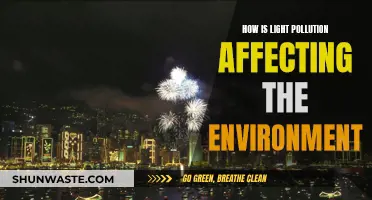 Light Pollution: Environmental Impact and Solutions