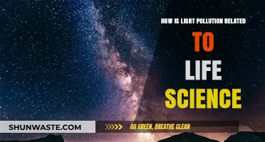 Light Pollution: Impacting Life Science and Ecosystems