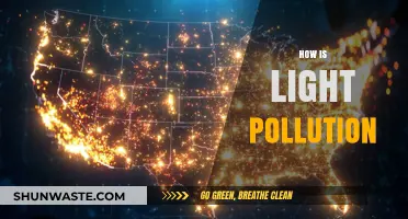 Light Pollution: A Dark Side of Development