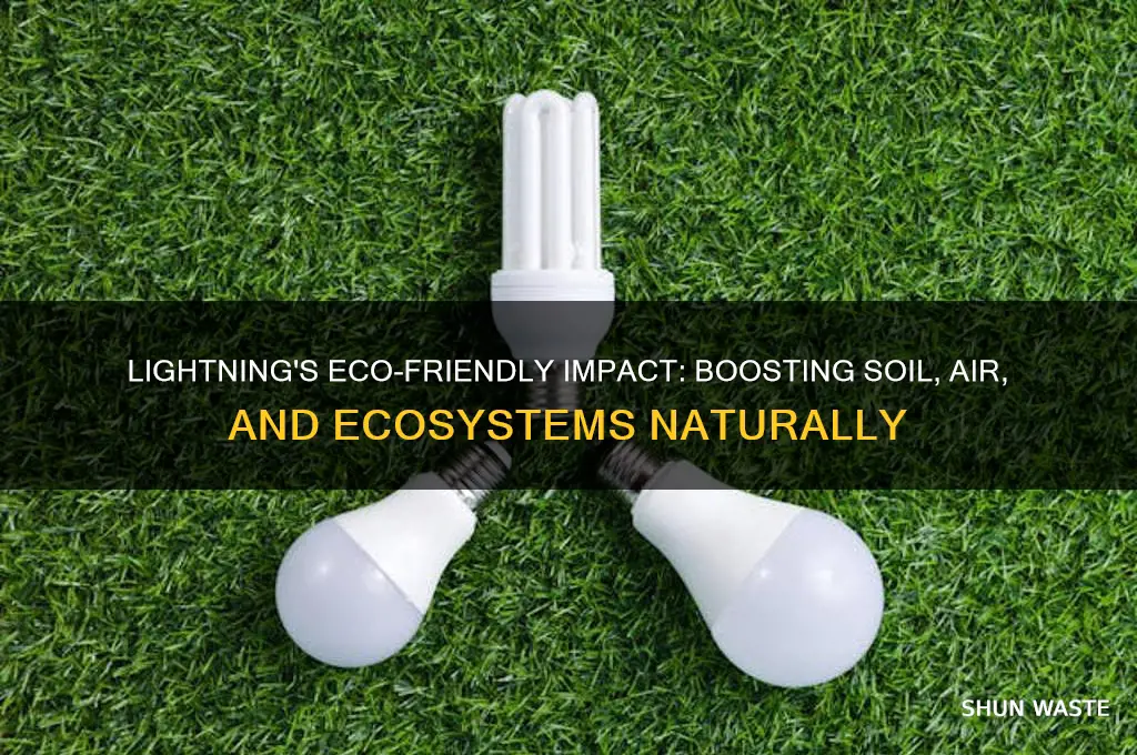 how is lightning good for the environment