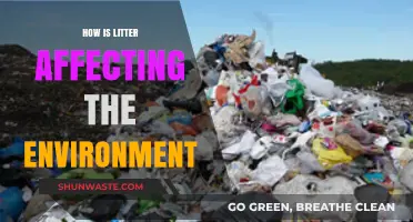 Litter's Devastating Impact: How Trash Destroys Ecosystems and Wildlife