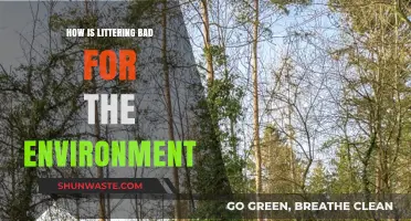Littering's Devastating Impact: How Trash Harms Our Environment and Wildlife