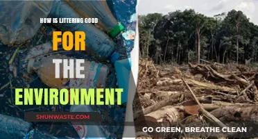 Littering's Surprising Environmental Benefits: Rethinking Waste's Role in Ecosystems