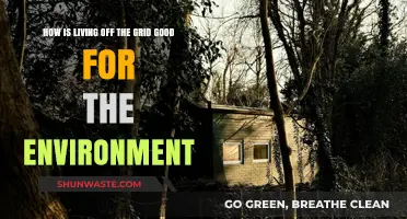 Sustainable Living: How Off-Grid Life Benefits Our Planet's Health