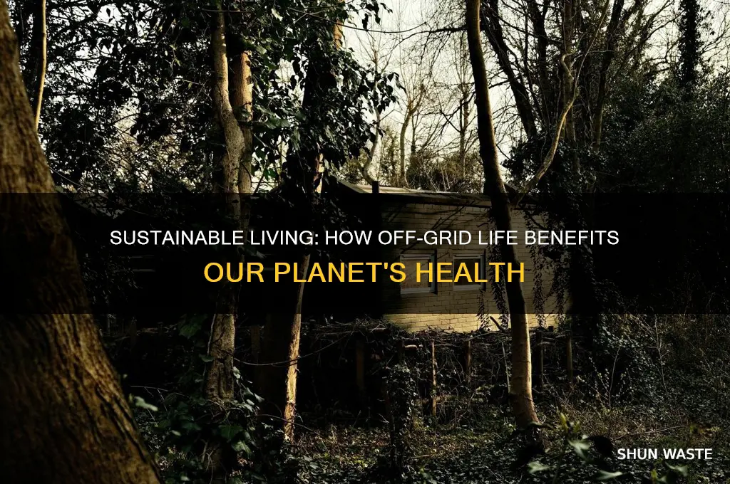 how is living off the grid good for the environment