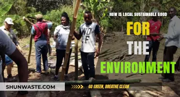 Local Sustainable Practices: Boosting Environmental Health and Community Resilience
