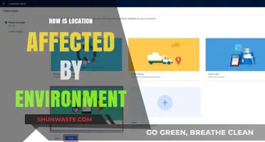 Environmental Impact: How Surroundings Shape Location and Its Dynamics