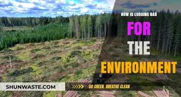 Logging's Devastating Impact: How Deforestation Harms Our Fragile Ecosystems