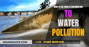 LA's Hidden Water Crisis: A City's Impact on Pollution