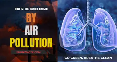 Air Pollution: A Major Cause of Lung Cancer