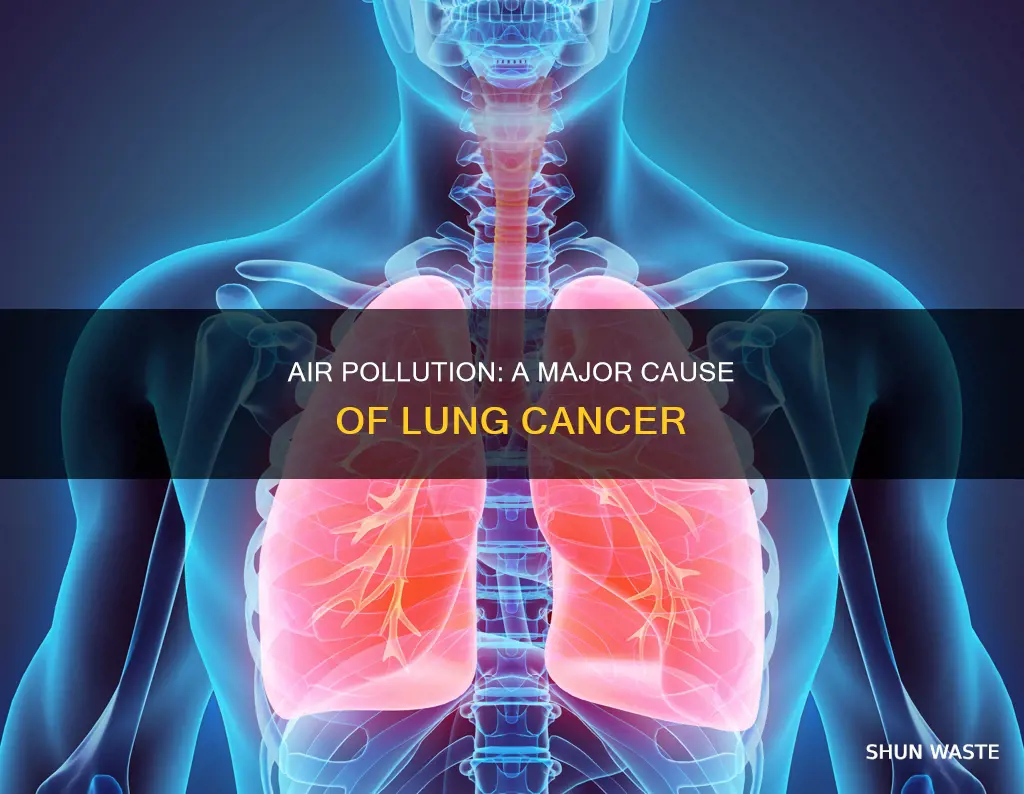 how is lung cancer caused by air pollution