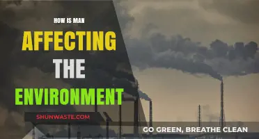 Human Impact: How Our Actions Shape the Environment's Future