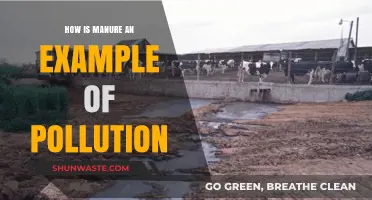 Manure's Dark Side: Pollution and Its Impact