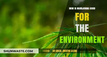 Marijuana's Eco-Friendly Impact: Sustainable Benefits for a Greener Planet