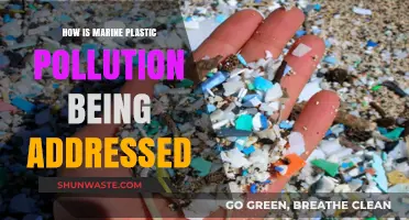 Addressing Marine Plastic Pollution: Current Strategies and Initiatives