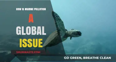 Marine Pollution: A Global Crisis