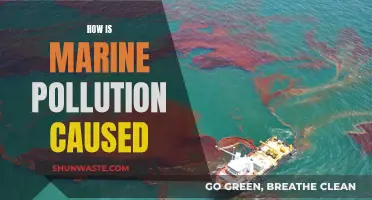 Unveiling the Sources: Understanding Marine Pollution's Origins